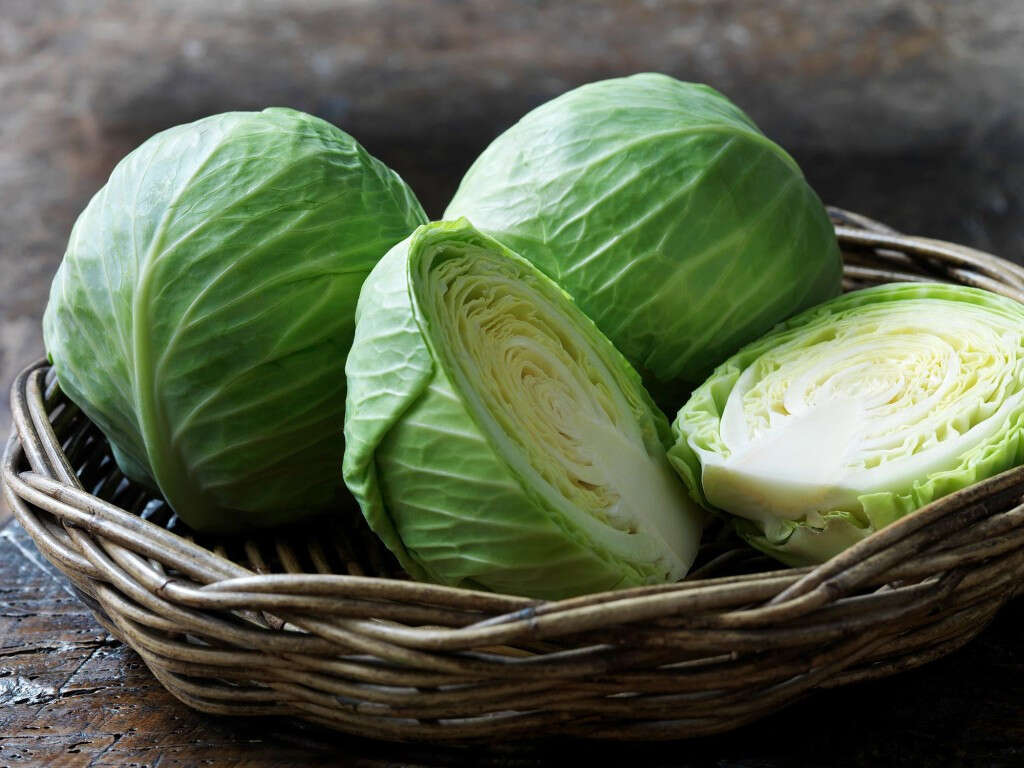 10 Benefits Of Cabbage
