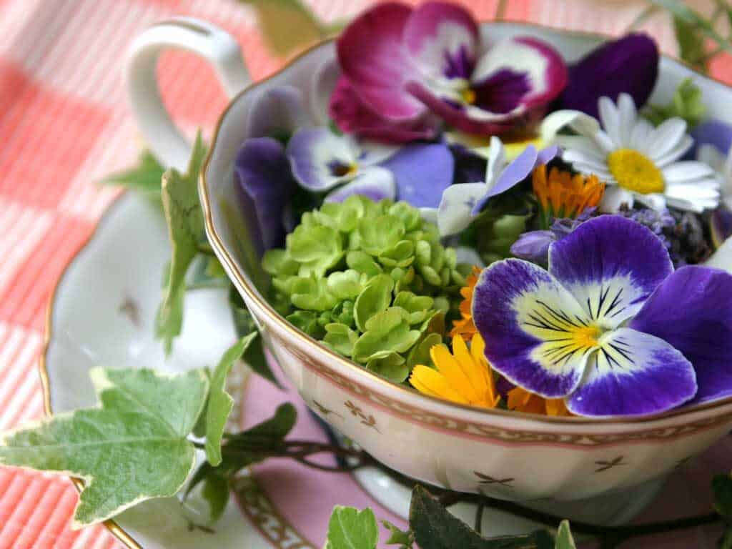 10 Benefits of Edible Flowers