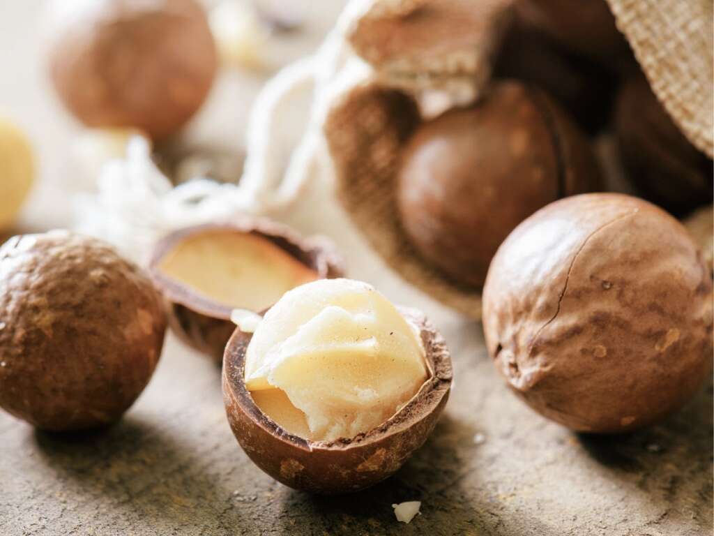 10 Benefits of Macadamia Nuts