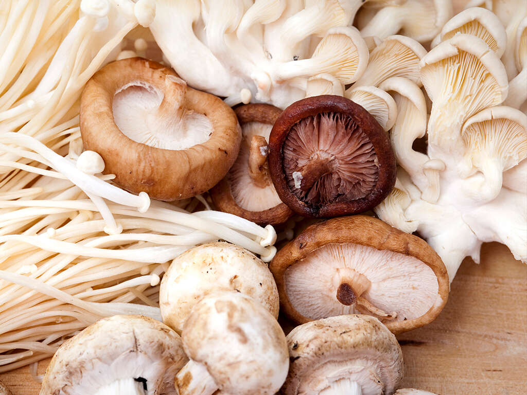 10 Benefits of Mushrooms