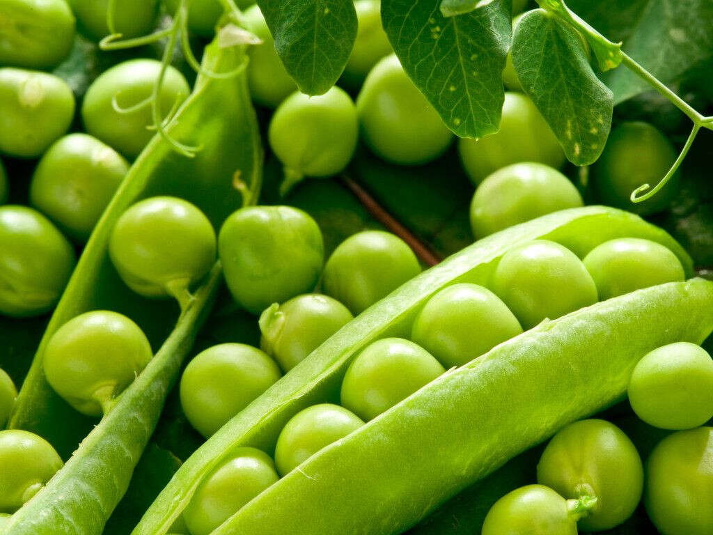 10 Benefits Of Peas