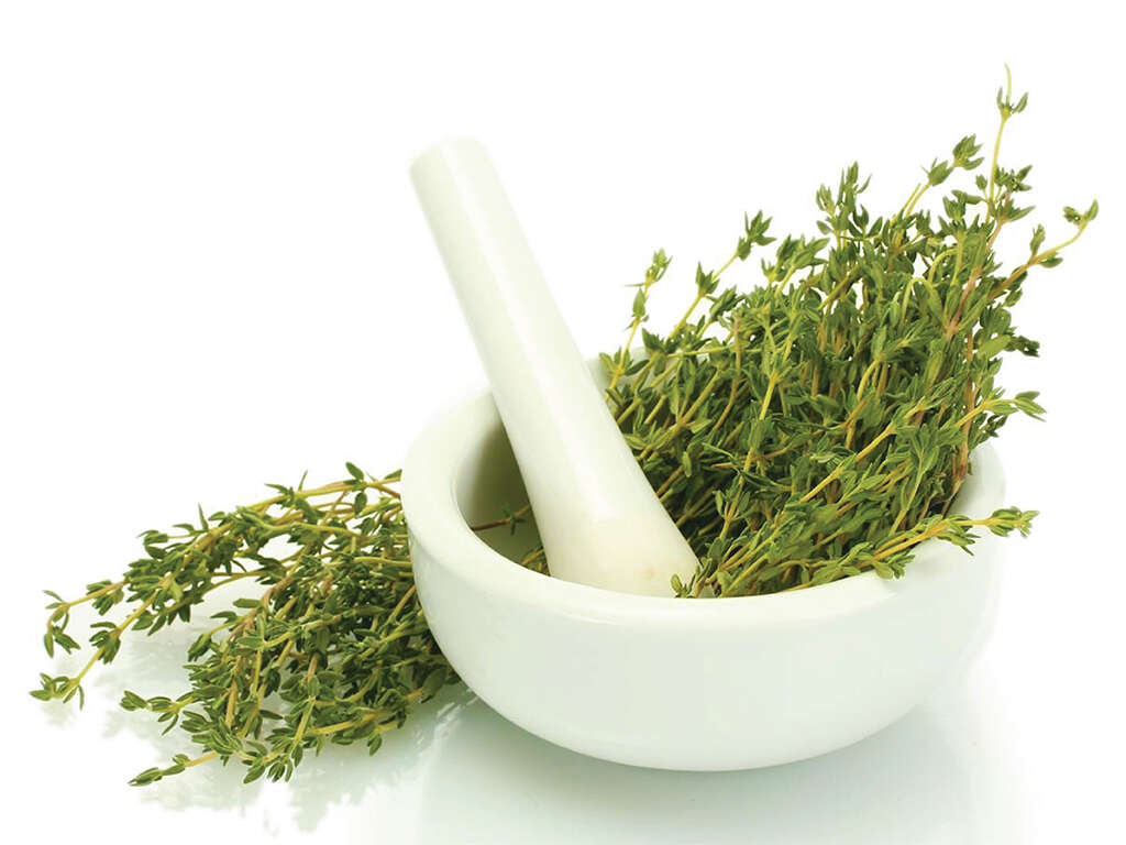 10 Benefits of Thyme