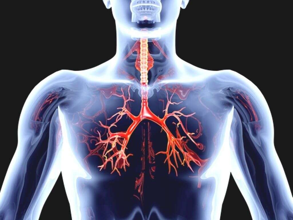 10 Blood Clot in Lung Symptoms