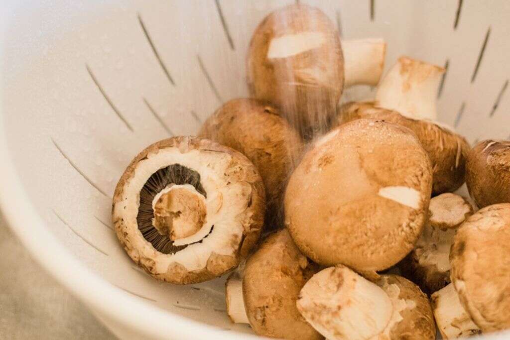 Freeze Mushrooms