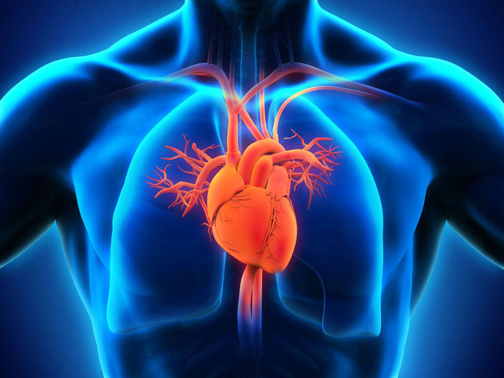 10 Symptoms of Cardiomyopathy