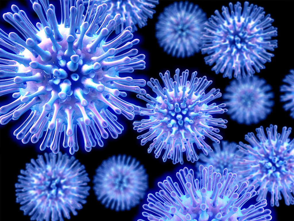 10 Common Pathogens