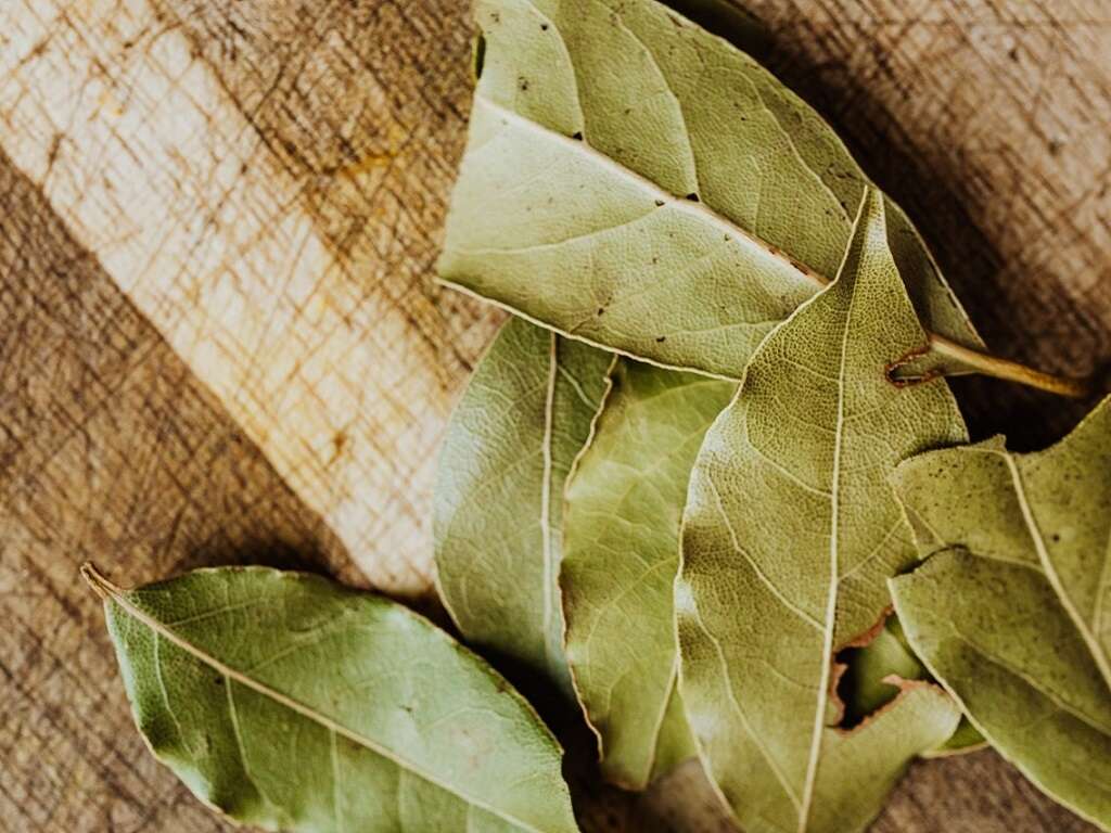 Health Benefits of Bay Leaves