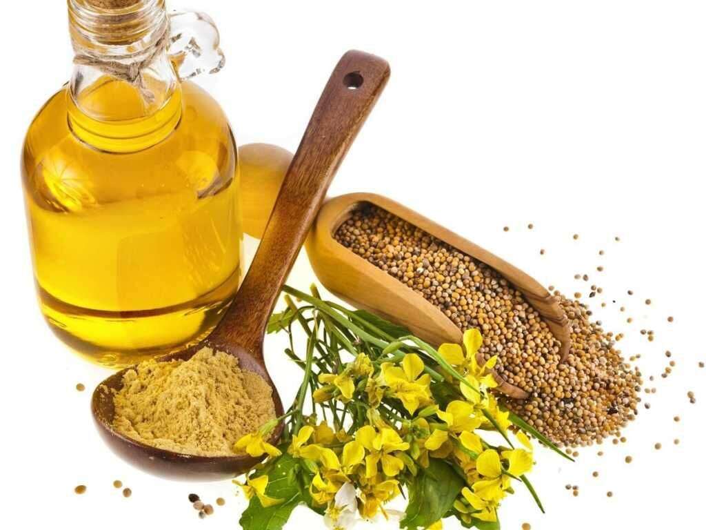 Mustard Oil 10 Health Benefits Of Mustard Oil