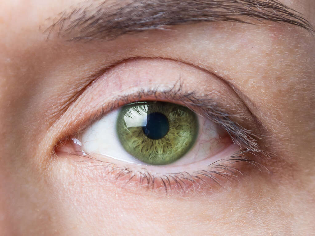 10 Causes of Retinal Detachment
