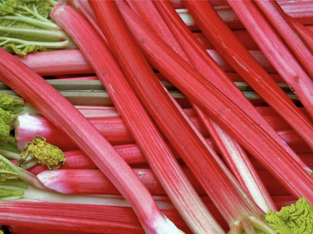 10 Health Benefits of Rhubarb