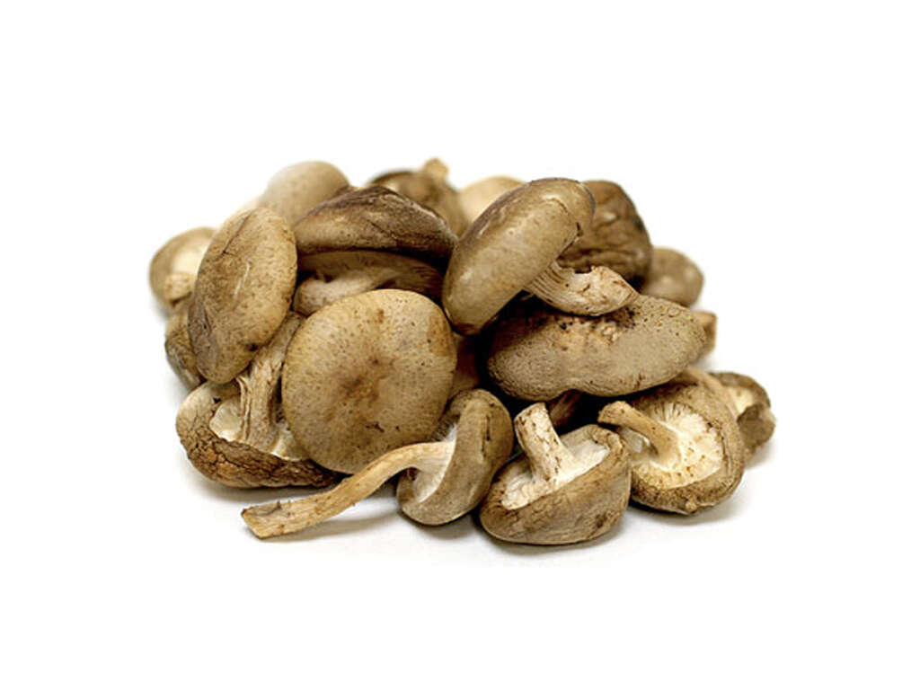 Shiitake Mushroom Benefits