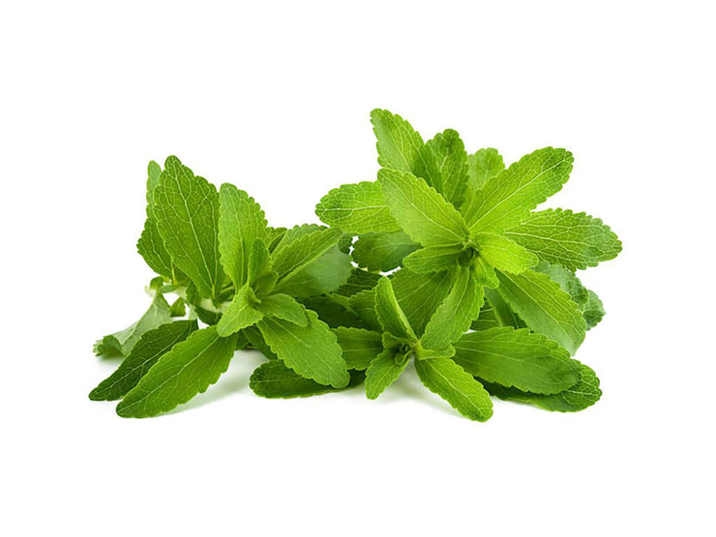 10 Side Effects of Stevia