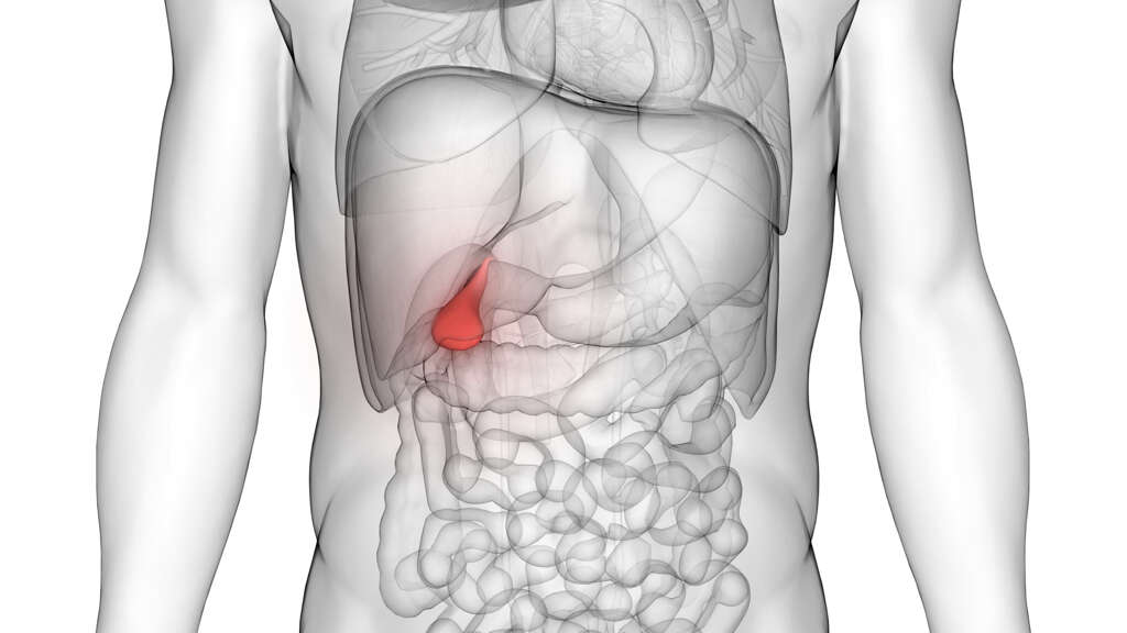 gallbladder-what-does-the-gallbladder-do