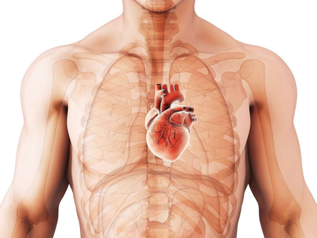 What Is a Cardiomegaly?