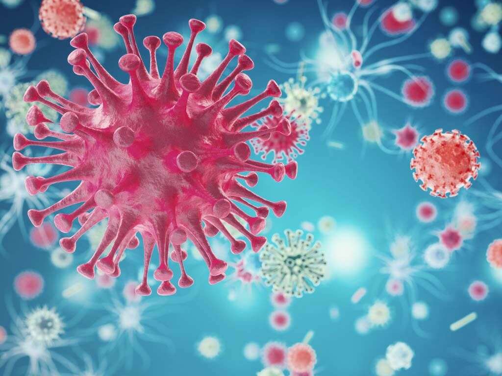 What Is a Viral Infection?