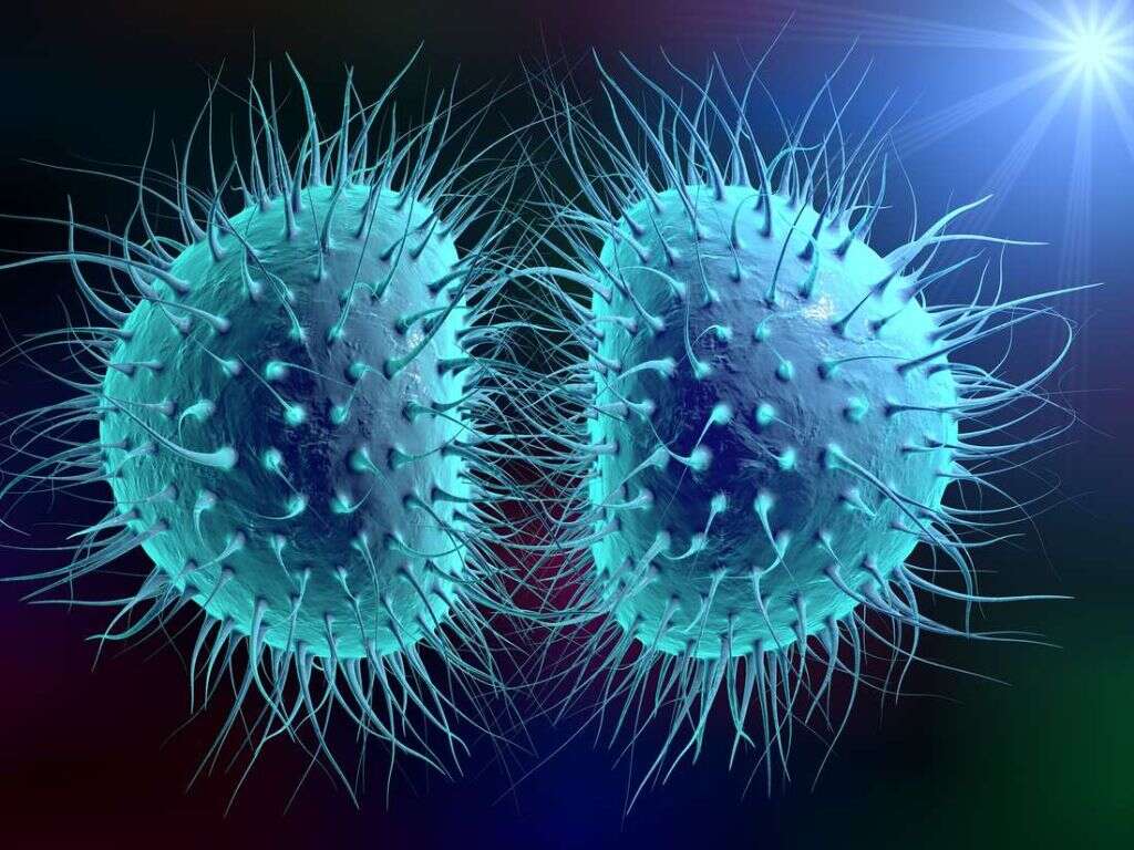 What Is Coxsackievirus?