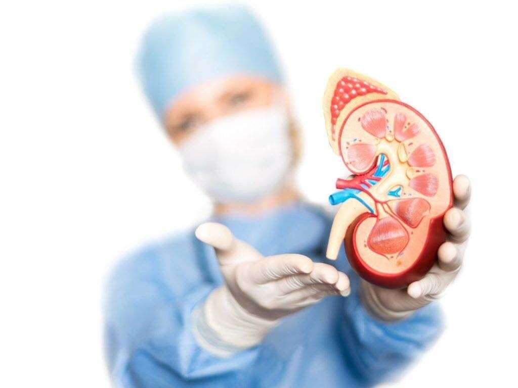 What Is Renal Failure?