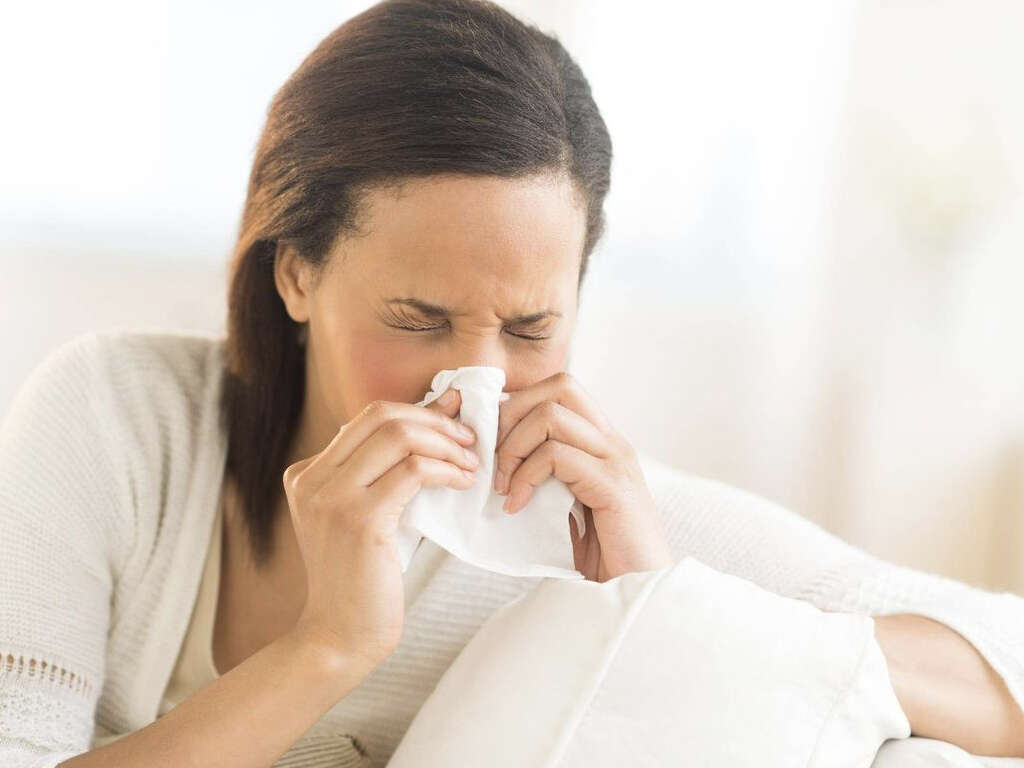 What Is the Common Cold?