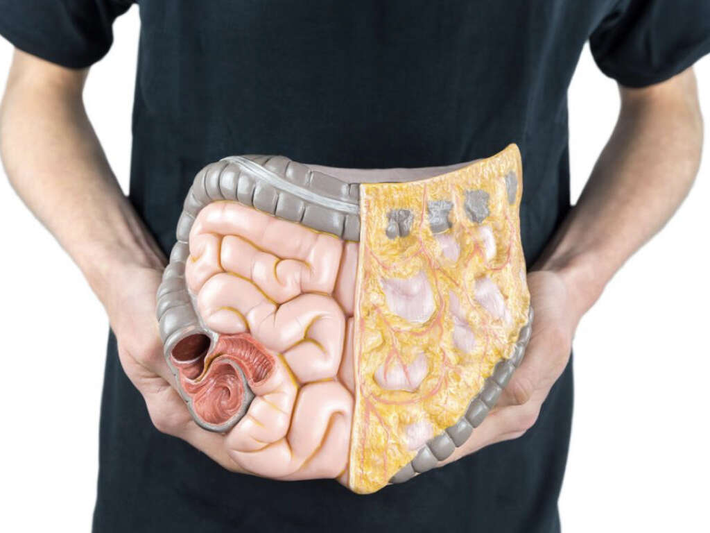 What Is the Duodenum?