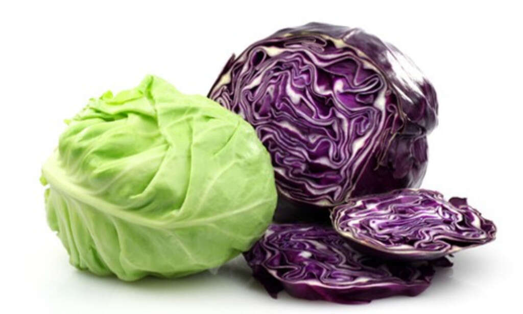 Cabbage