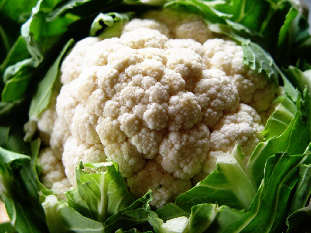 10 Benefits of Cauliflower