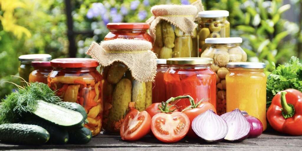 Fermented Foods