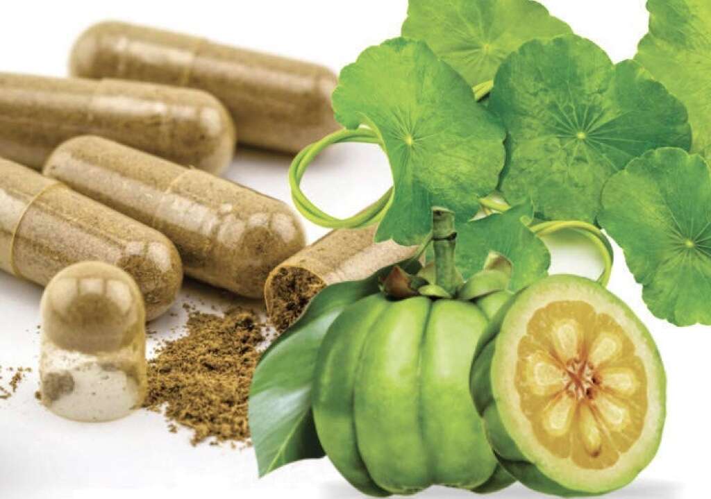 Garcinia Cambogia