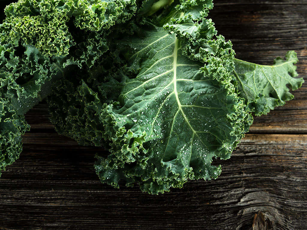 10 Benefits of Kale