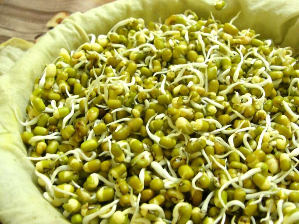 10 Benefits of Mung Beans