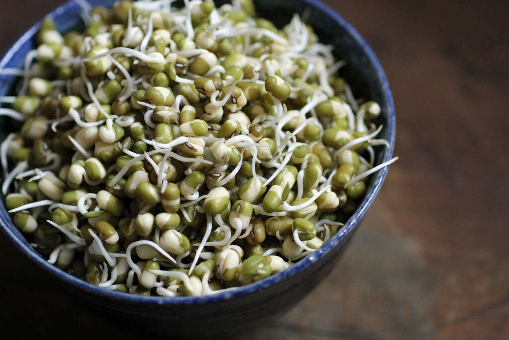 Mung Beans