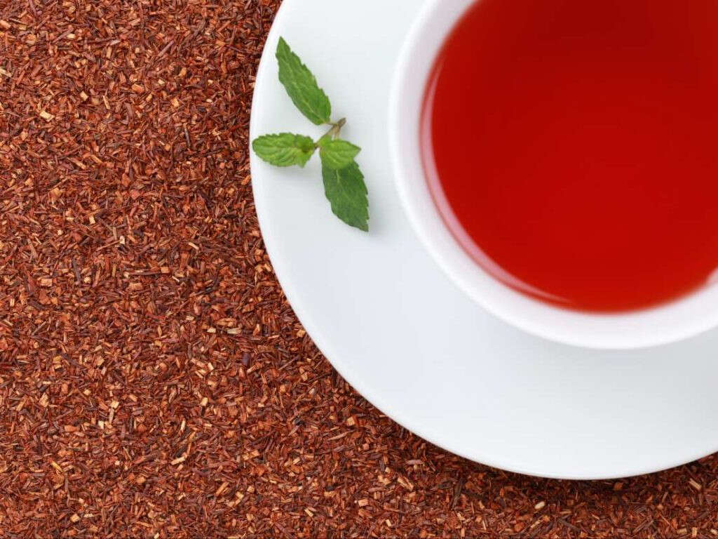 10 Benefits of Rooibos Tea