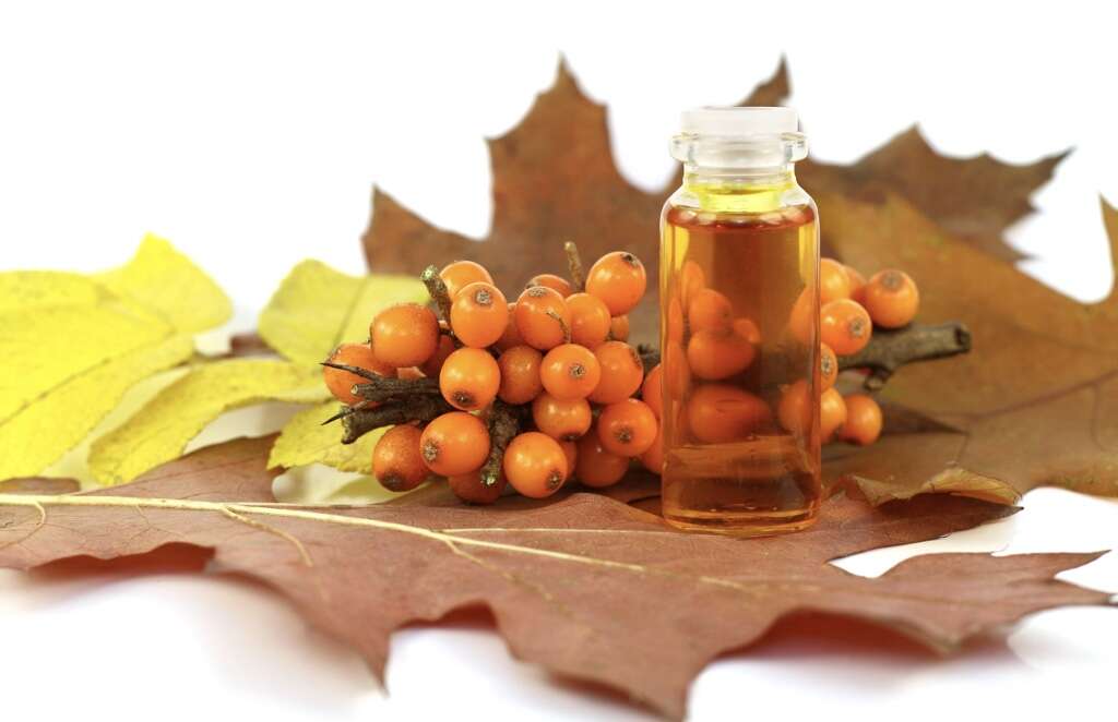 Sea Buckthorn Oil