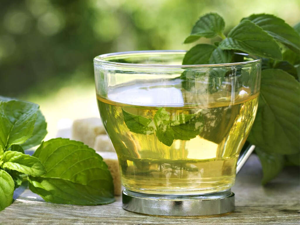 10 Benefits of Spearmint Tea
