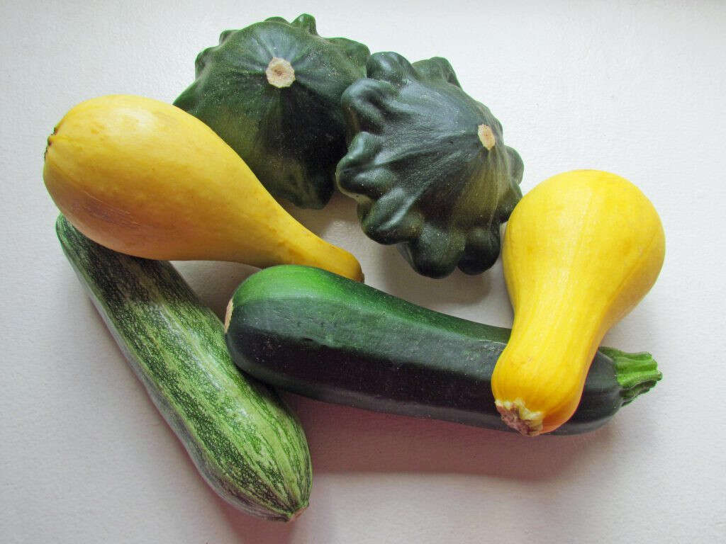 10 Benefits Of Squash