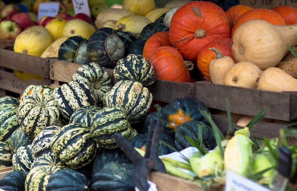 Eating Squash