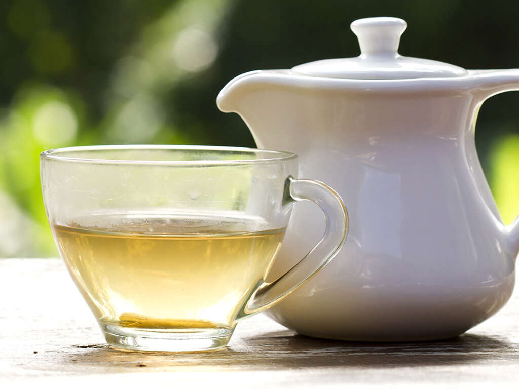 10 Benefits of White Tea