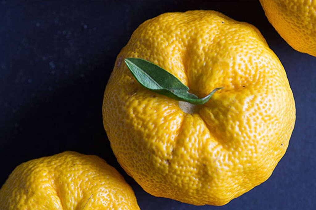 13-surprising-benefits-of-yuzu-fruit-organic-facts