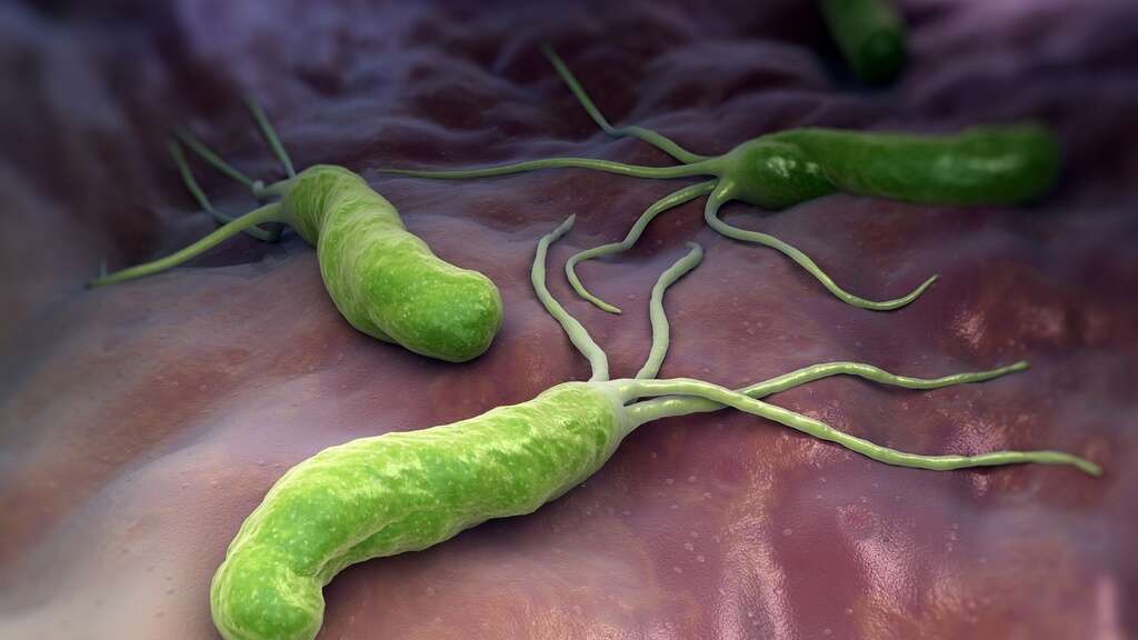 h-pylori-10-causes-of-h-pylori