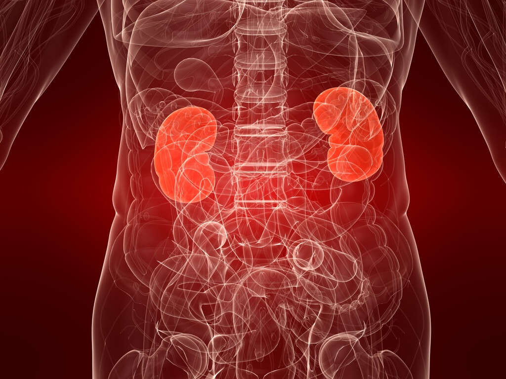 10 Causes of Kidney Infection