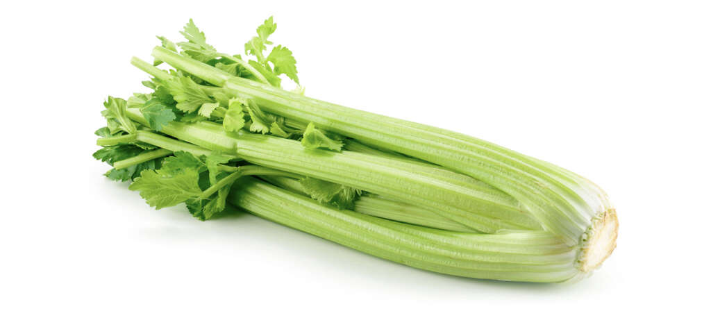 Celery