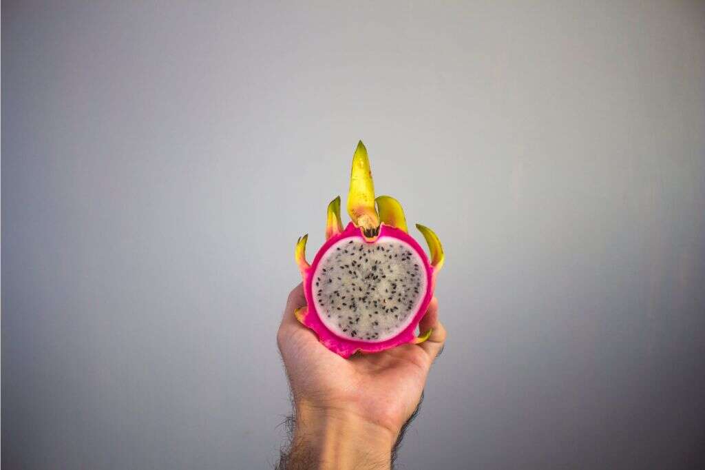 Dragon Fruit