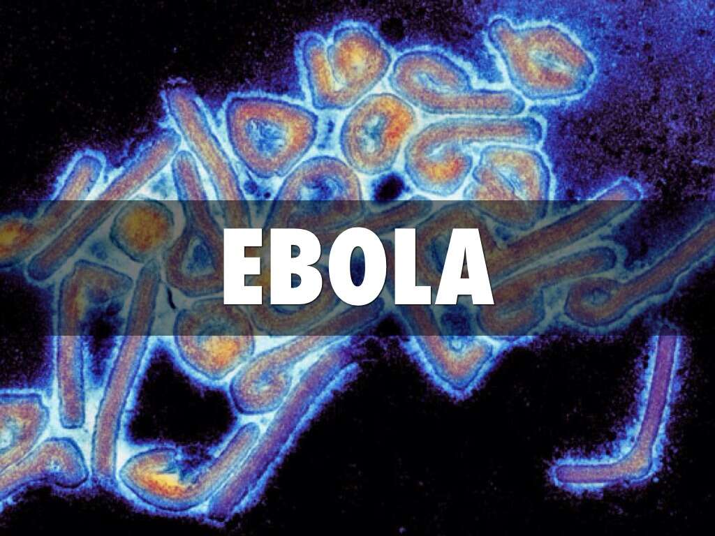 10 Ebola Symptoms