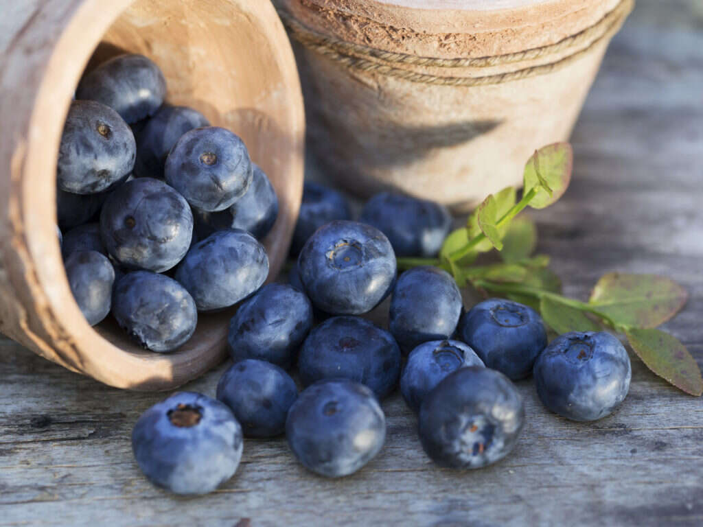 10 Foods High In Antioxidants