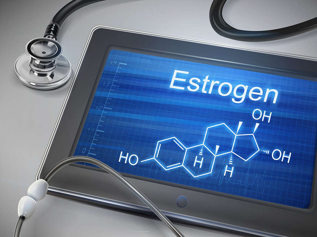 10 Foods High In Estrogen