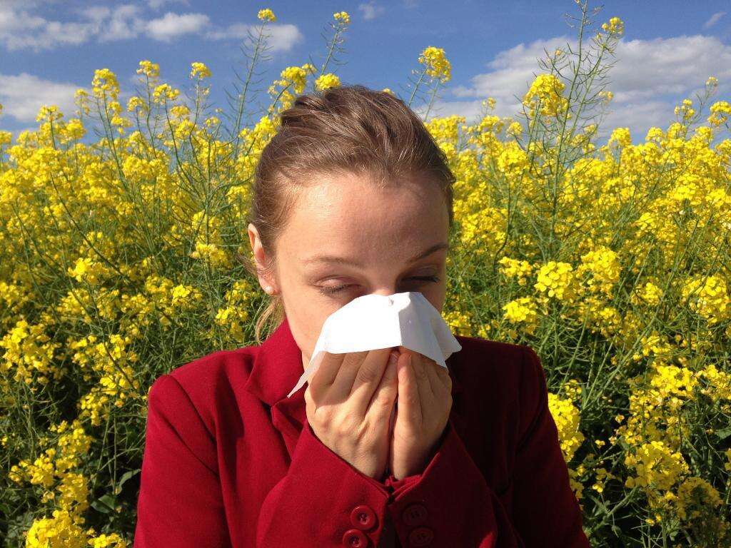 10 Hay Fever Symptoms