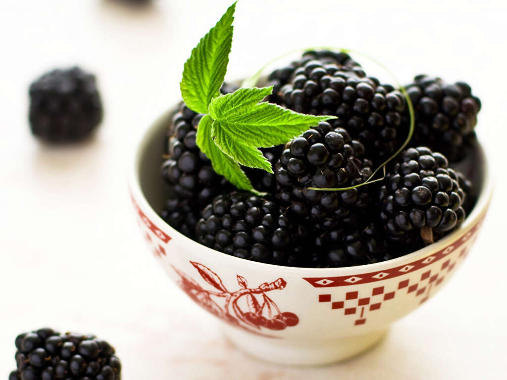 10 Health Benefits of Blackberries