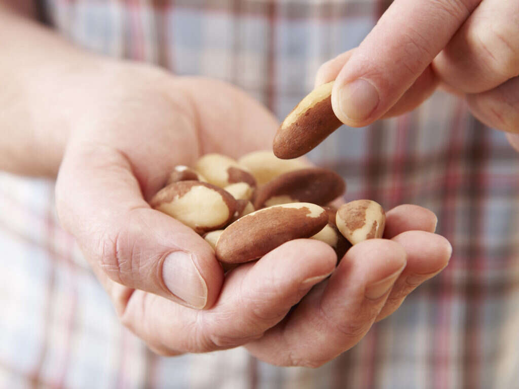 10 Health Benefits Of Brazil Nuts