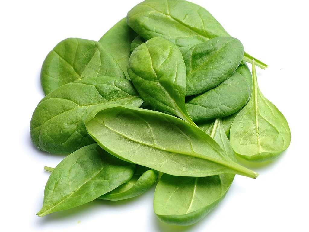 10 Health Benefits of Spinach