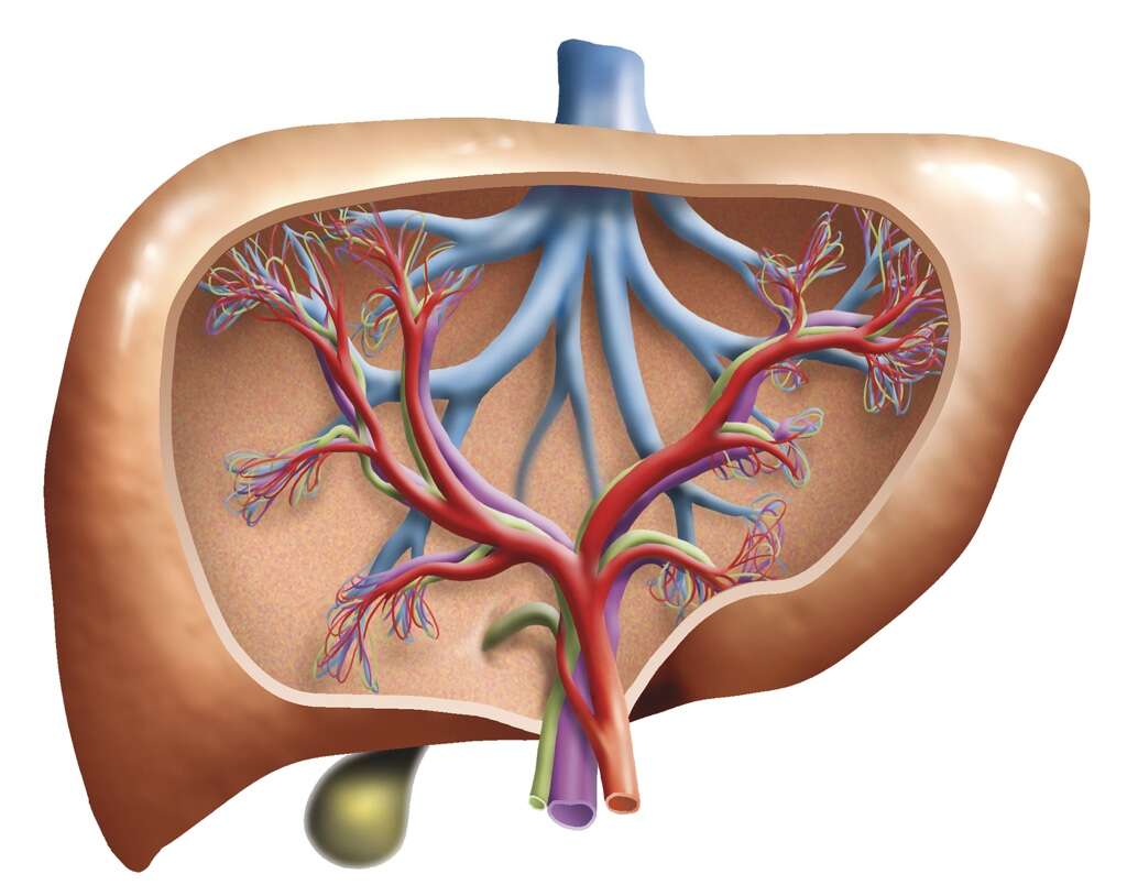 Bilirubin