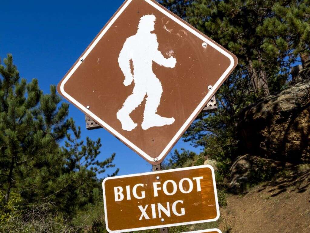 Bigfoot Real